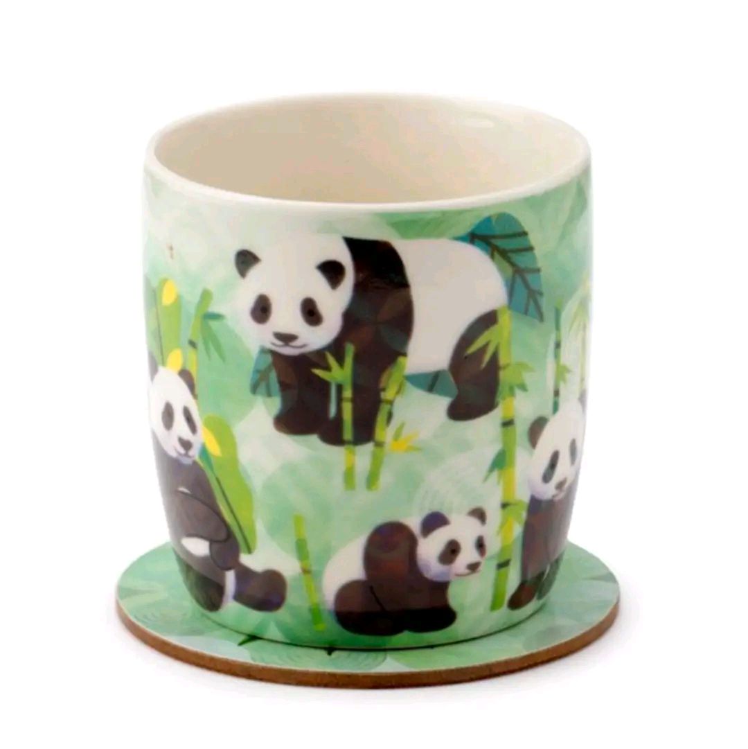 Panda Kingdom Porcelain Mug & Coaster Set