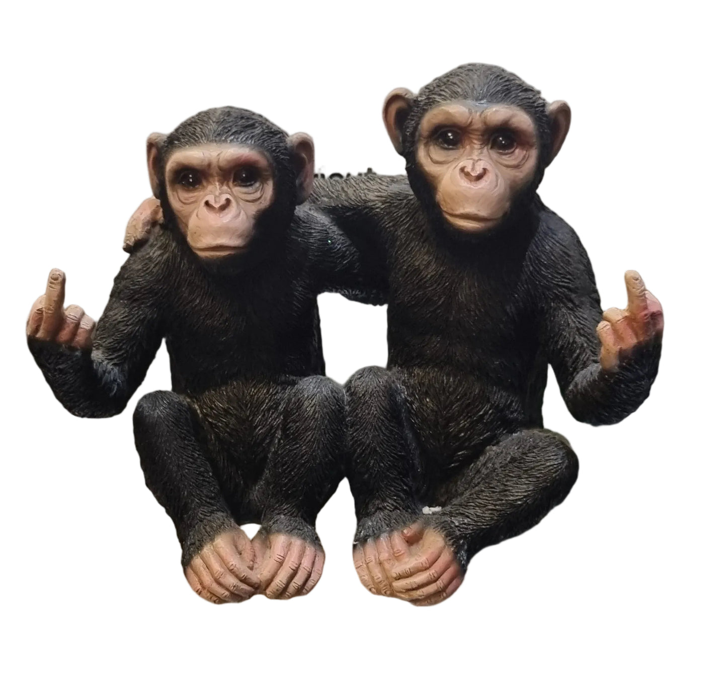 Twin Cheeky Monkeys