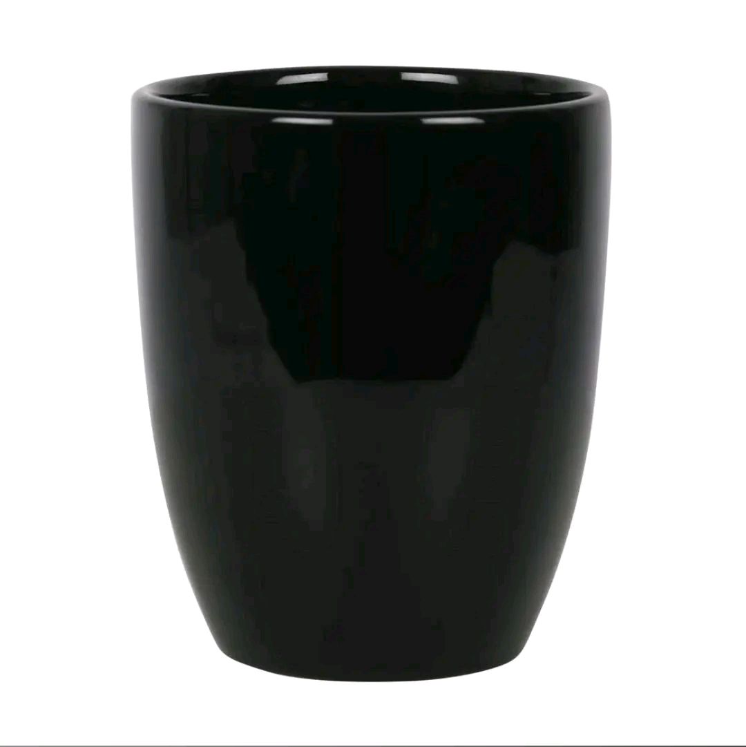 I Will Survive Skull Plant Pot