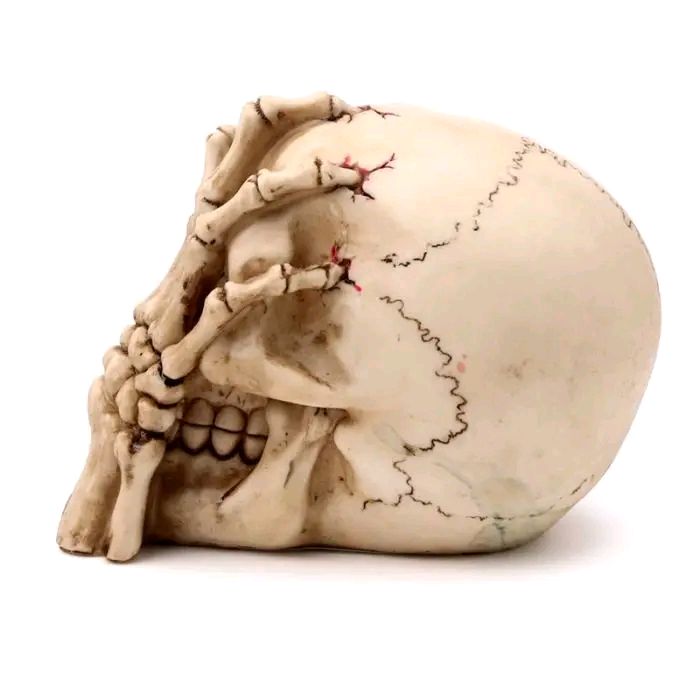 Gruesome Skull Head With Skeleton Claw Hand
