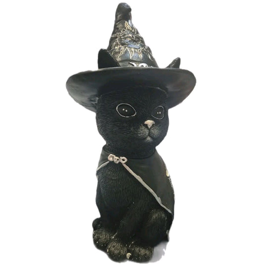 Witches Cat