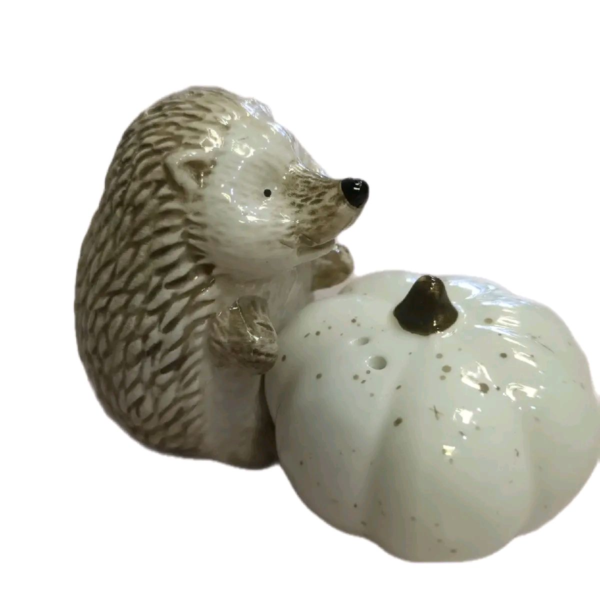 Country living Hedgehog & Pumpkin salt and pepper shaker set