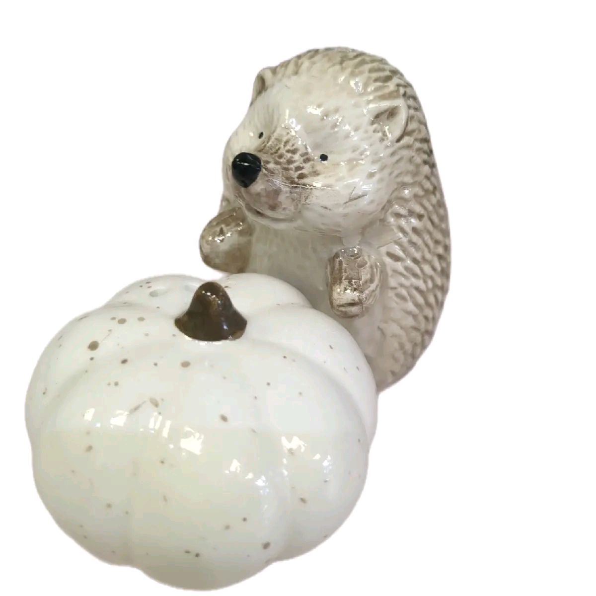 Country living Hedgehog & Pumpkin salt and pepper shaker set