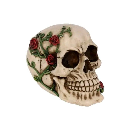 Rose from Beyond Skull