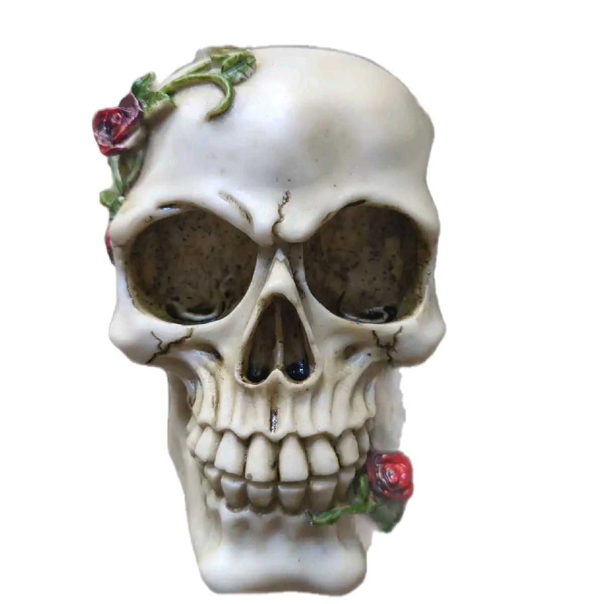 Rose from Beyond Skull