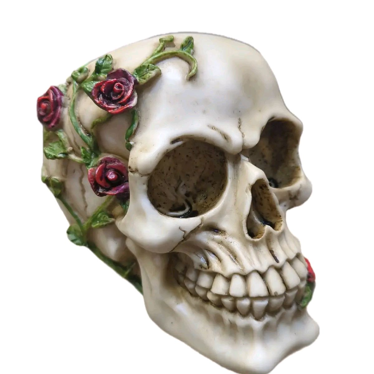 Rose from Beyond Skull