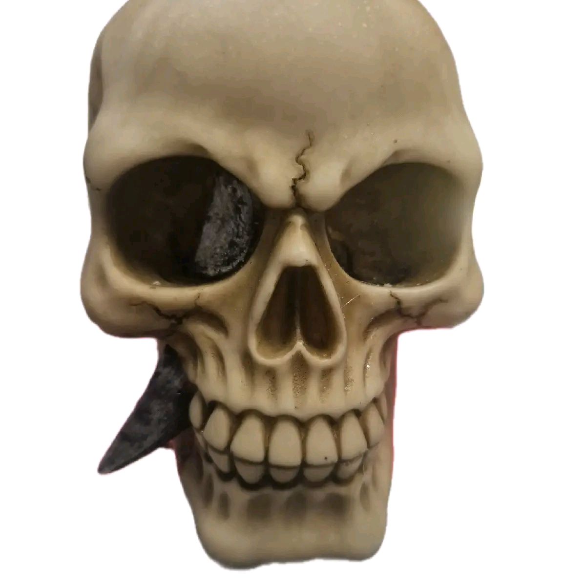 Skull Ornament Pierced with Sword