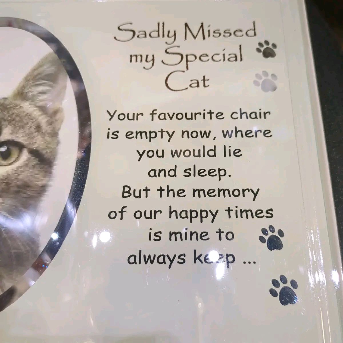 Glass Pet Memorial Photo Frame