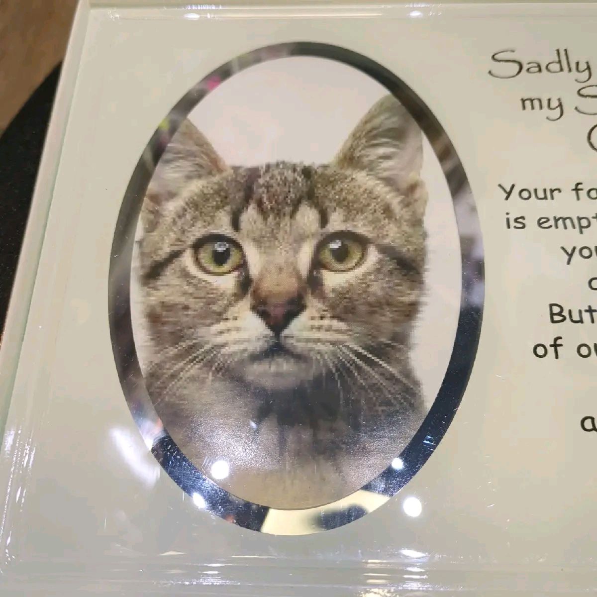 Glass Pet Memorial Photo Frame