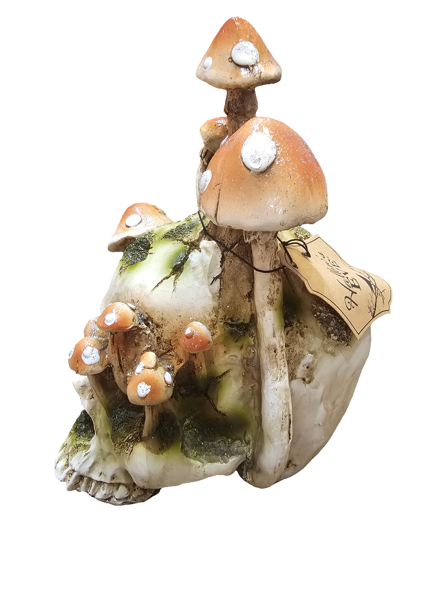 Hallows eve Skull growing Mushrooms