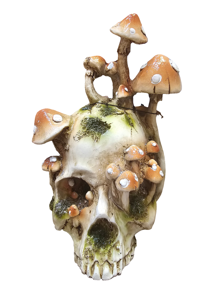 Hallows eve Skull growing Mushrooms