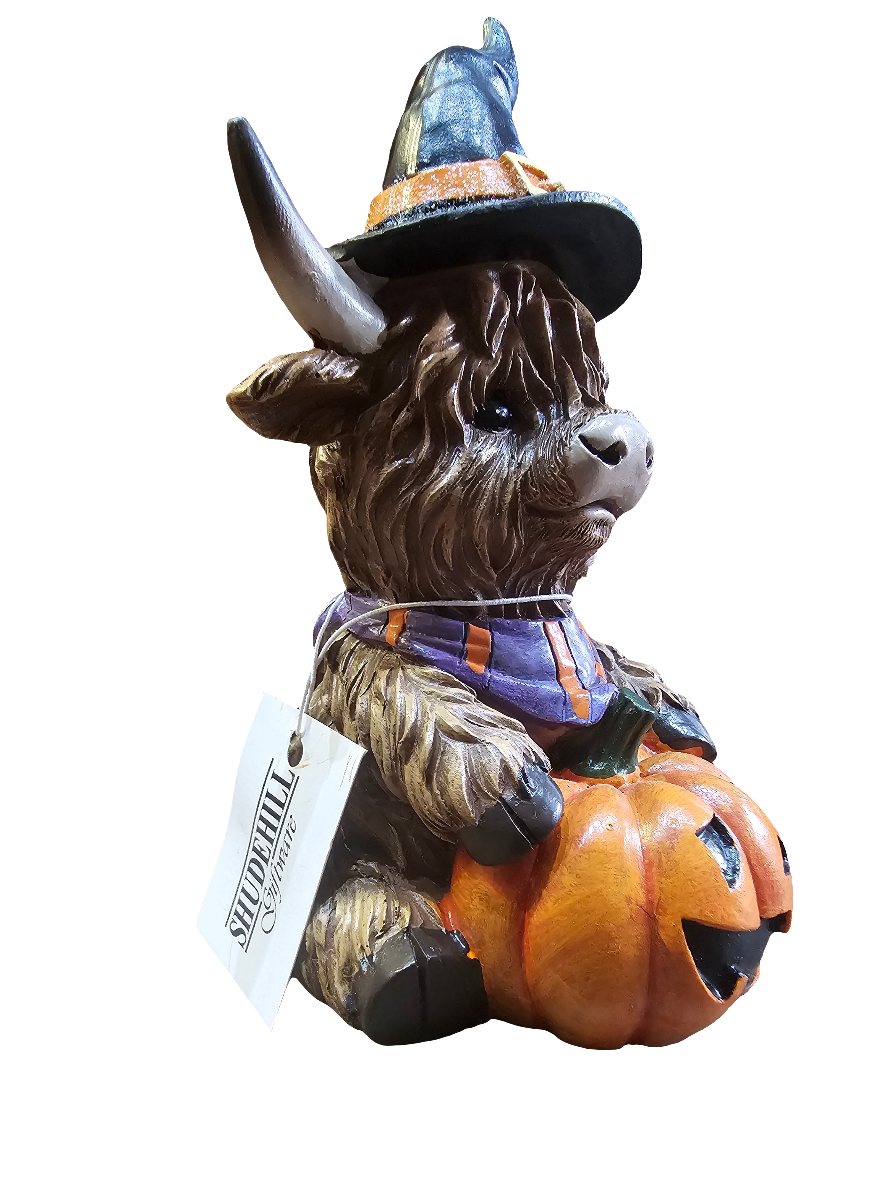 Highland Cow sitting with pumpkin