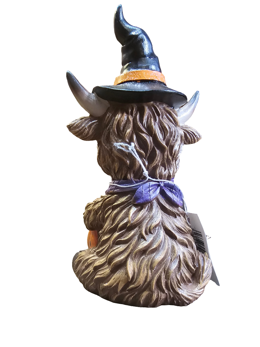 Highland Cow sitting with pumpkin