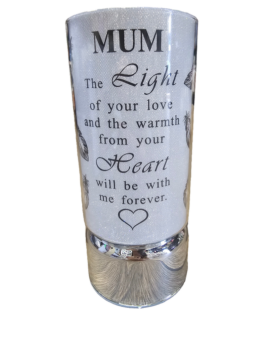 Mum Appreciation Tube Light