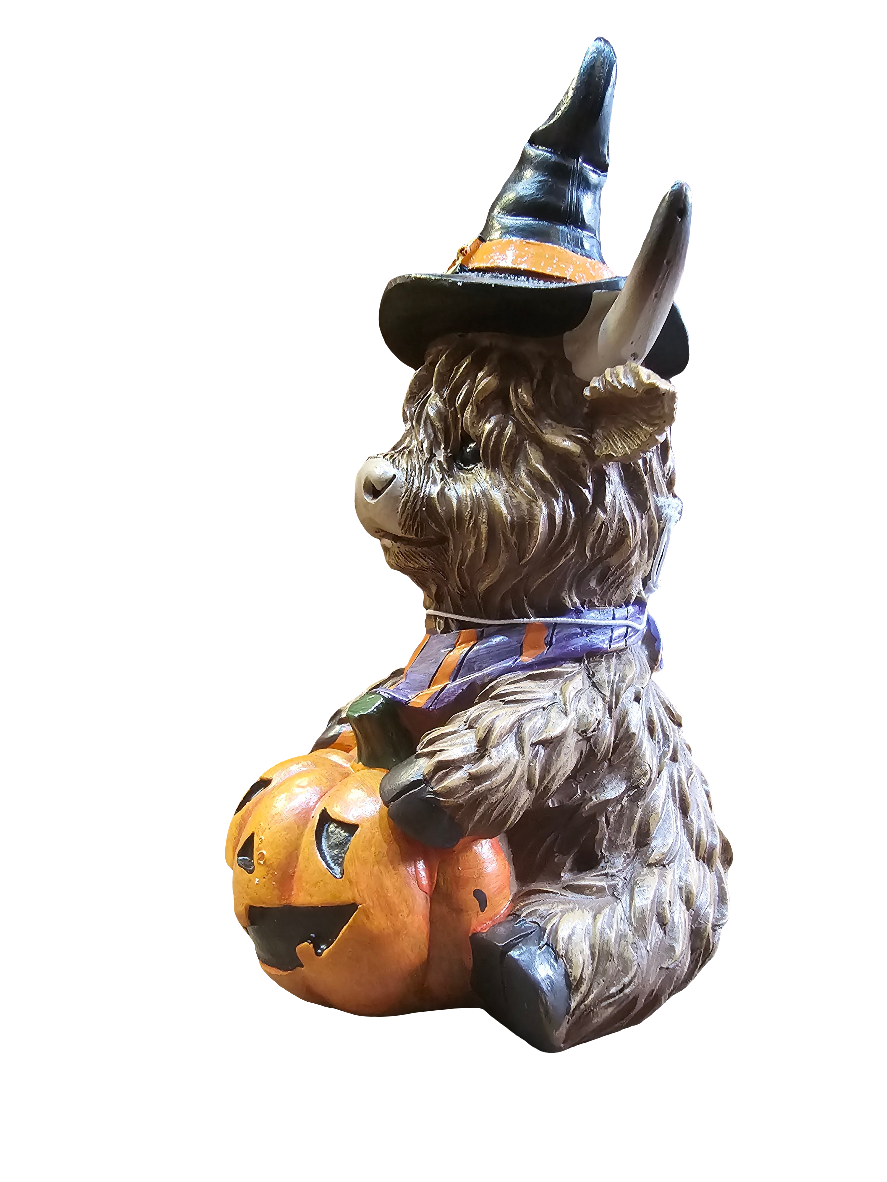 Highland Cow sitting with pumpkin