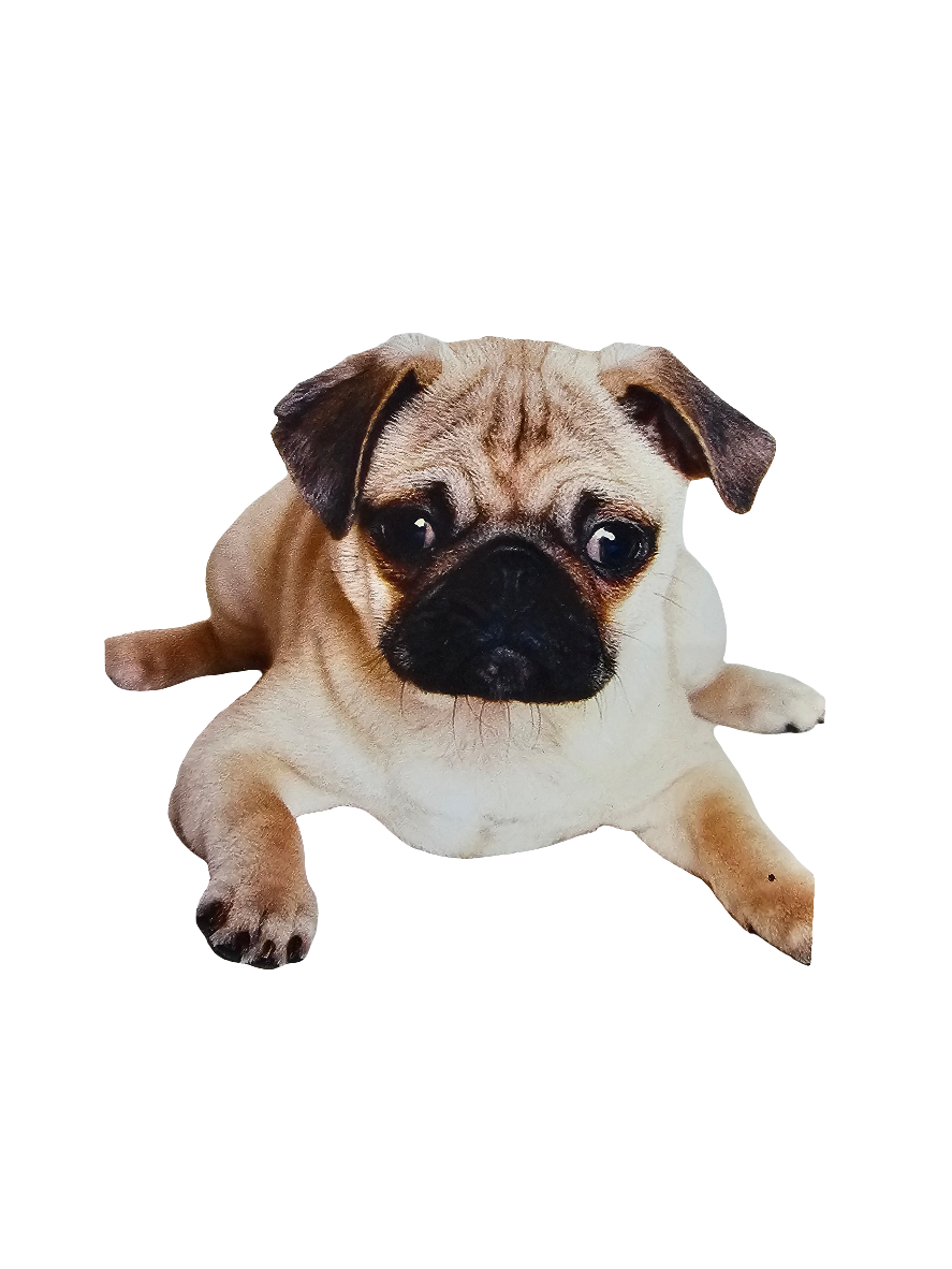 Square Glass Coasters various designs