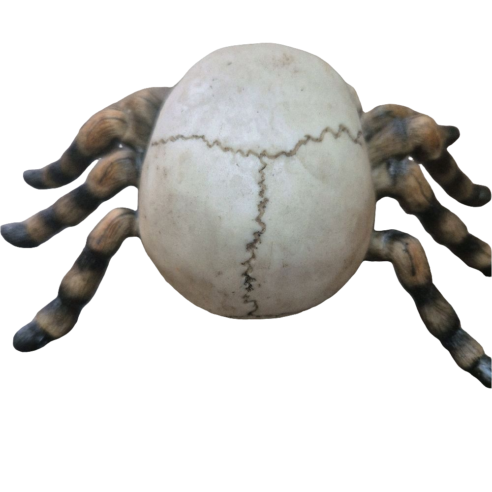 Skull with Spider Legs home decor ornament Spooky Decoration