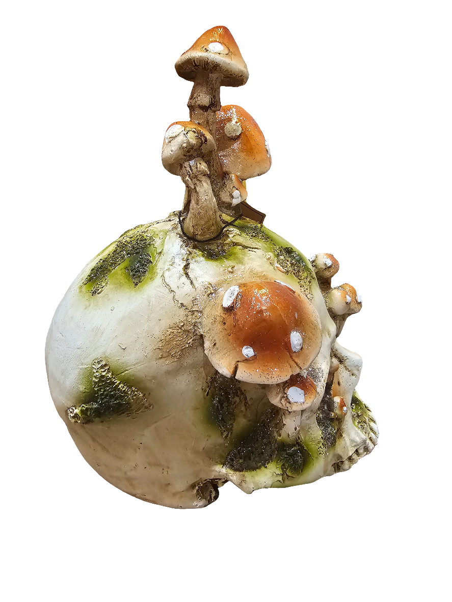 Hallows eve Skull growing Mushrooms