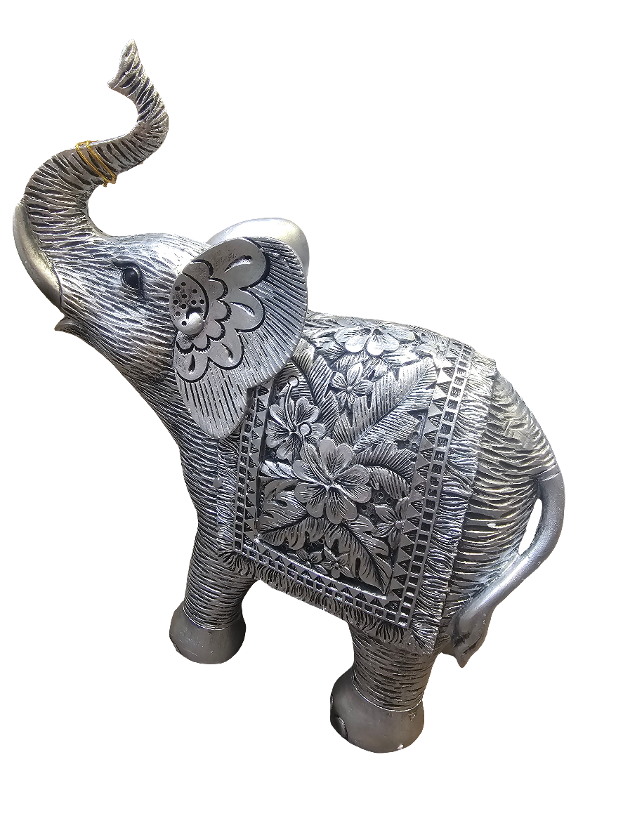 Hibiscus Silver Elephant Extra Large