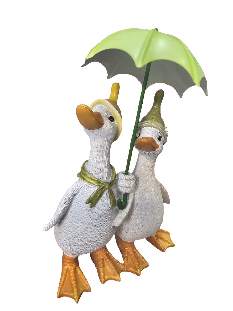 Posy Puddle Duck Couple