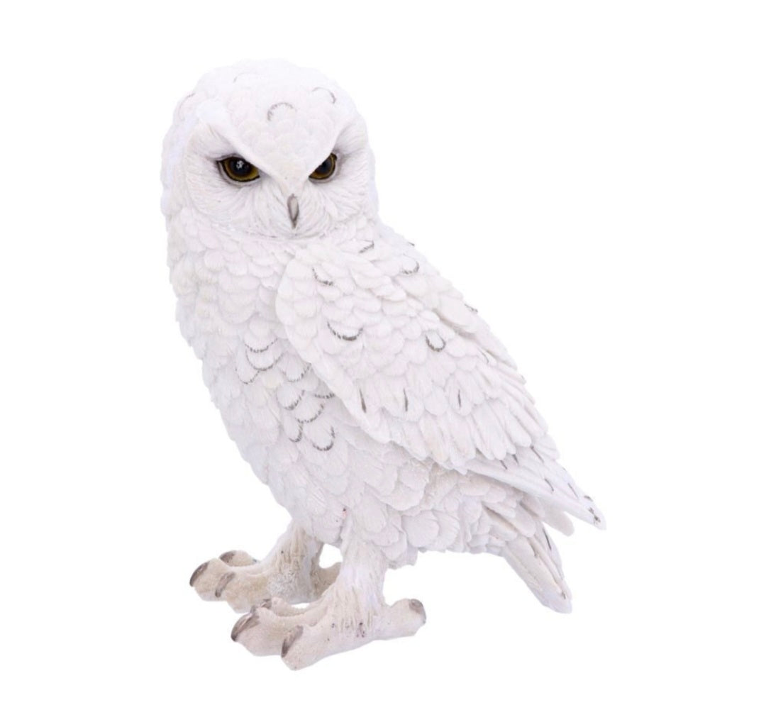 Snowy Watch Large 20cm
Snowy Watch Large White Owl Ornament