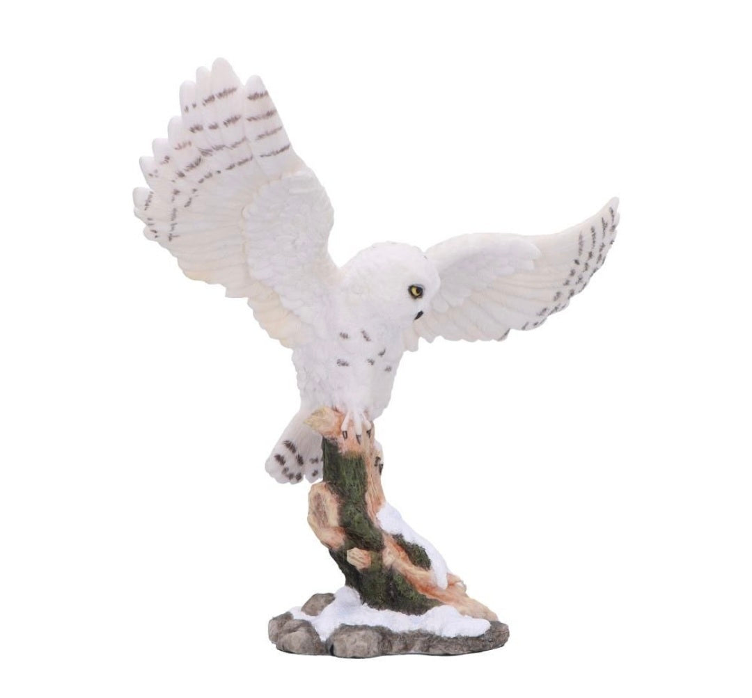 Snowfall 18cm
Snowfall - Majestic owl in winter scene