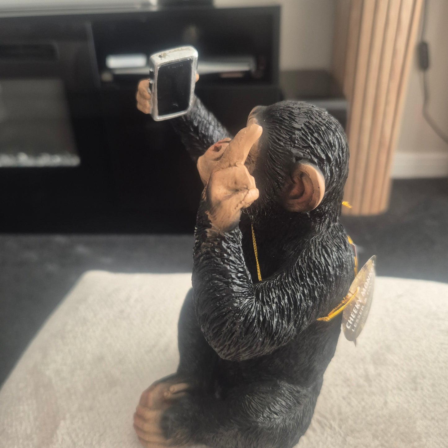Selfie monkey with a finger up