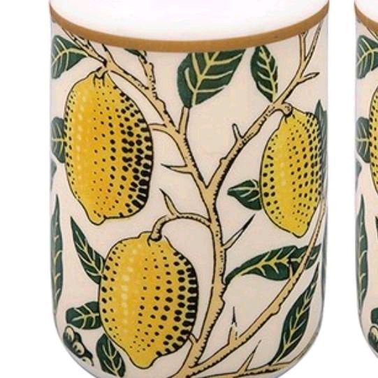Fruits Salt & Pepper pots Seasoning Kitchen Ceramic