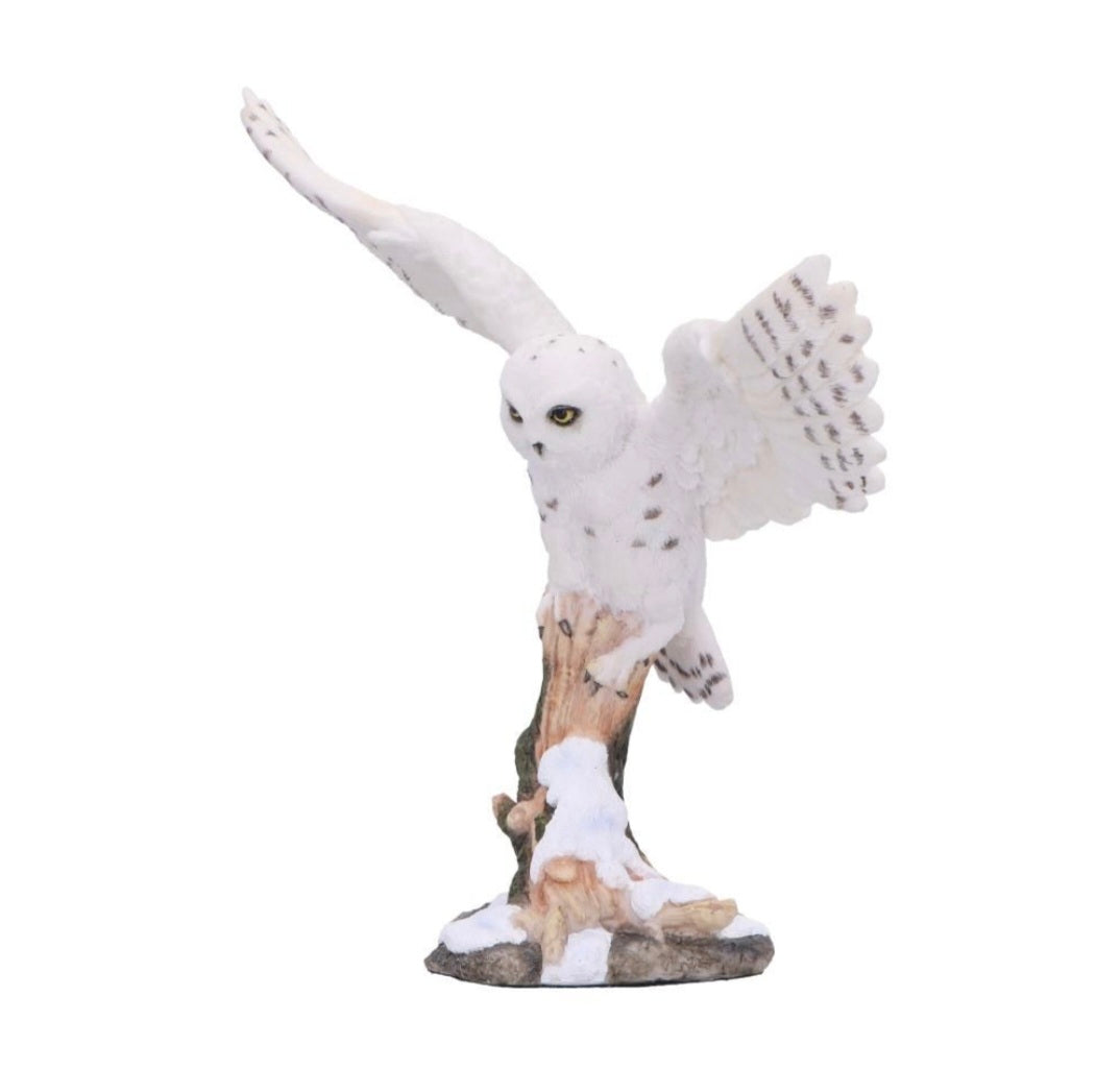 Snowfall 18cm
Snowfall - Majestic owl in winter scene