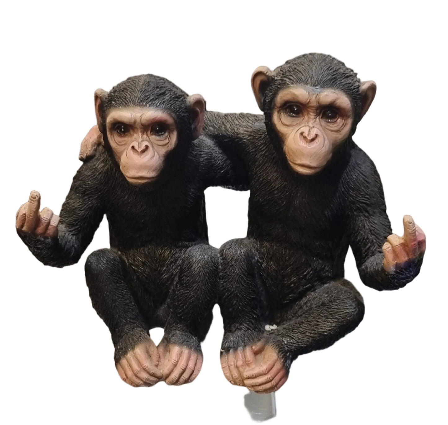 Twin Cheeky Monkeys