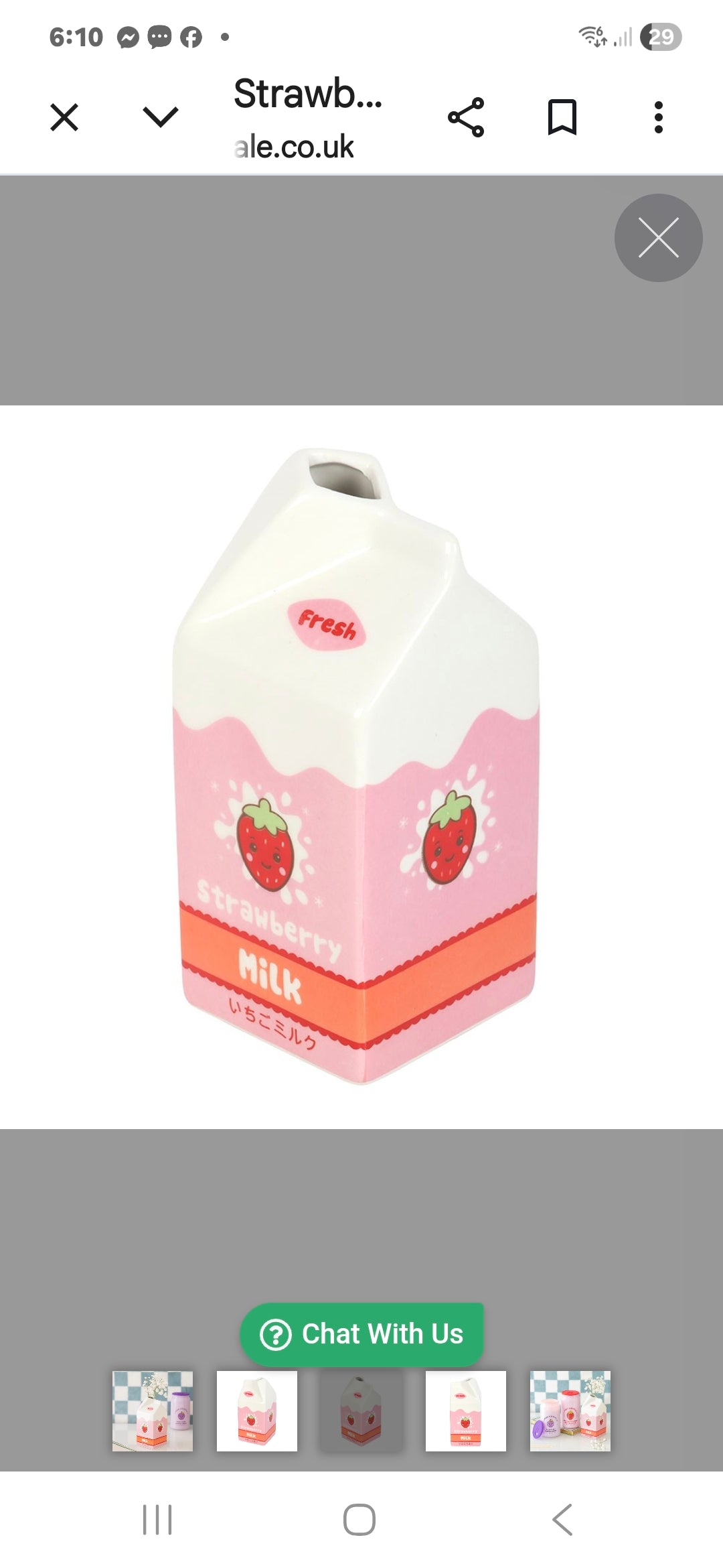 Strawberry Milk Carton Flower Vase
