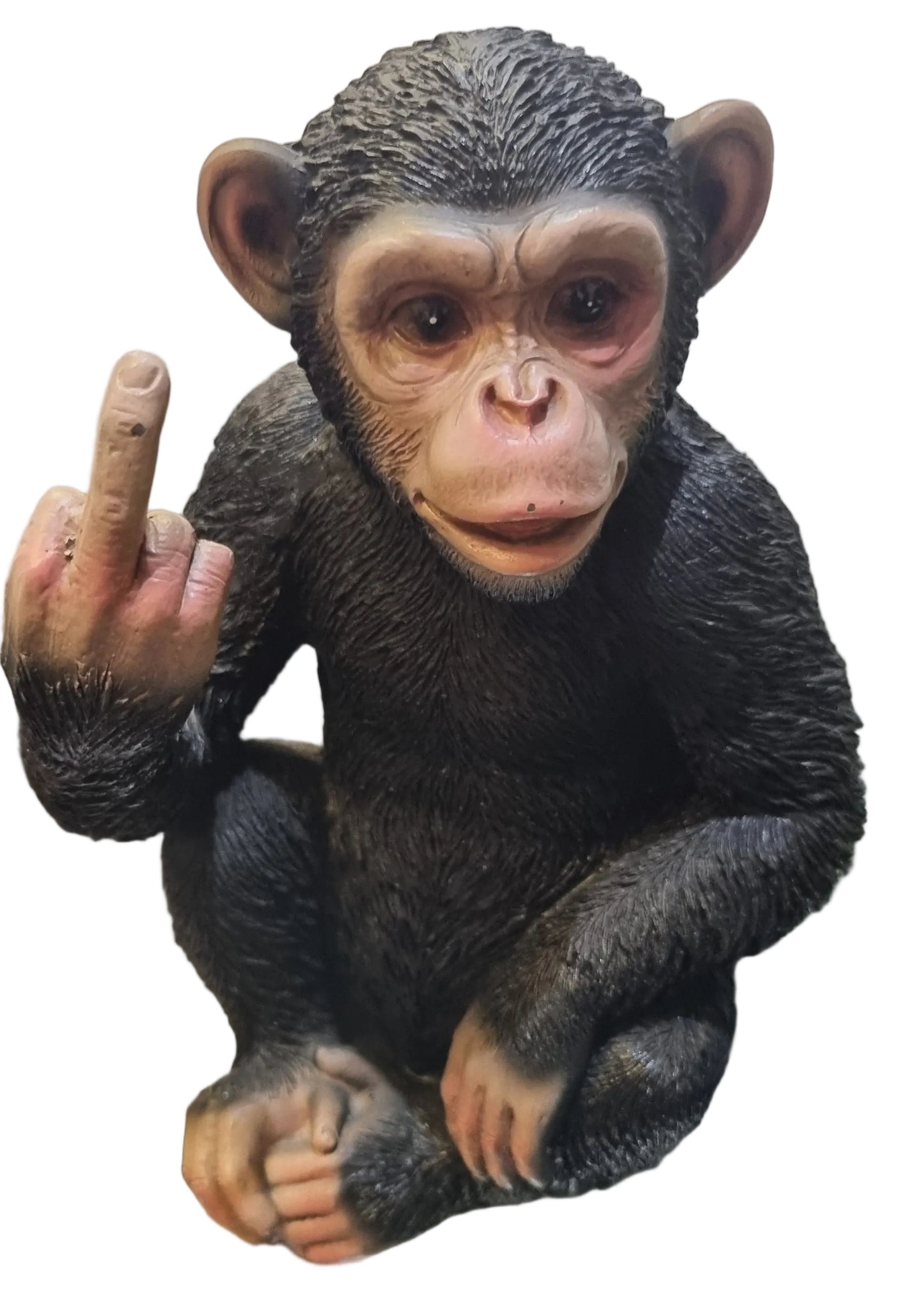 "Up Yours" Cheeky Monkey