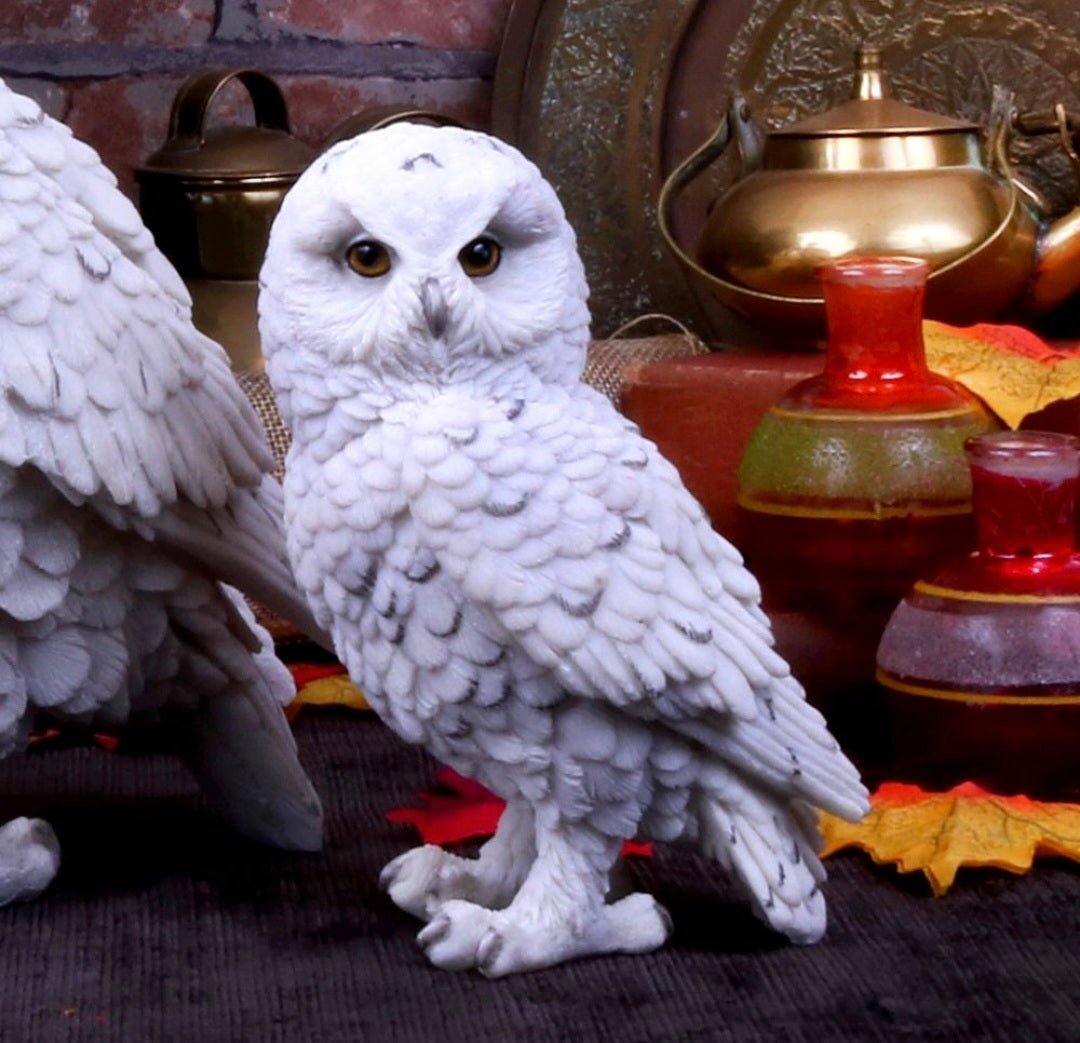 Snowy Watch Small 13.3cm
Snowy Watch Small White Owl Ornament