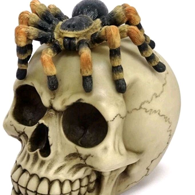 Skull with Spider Ornaments for Home Decor Decorative