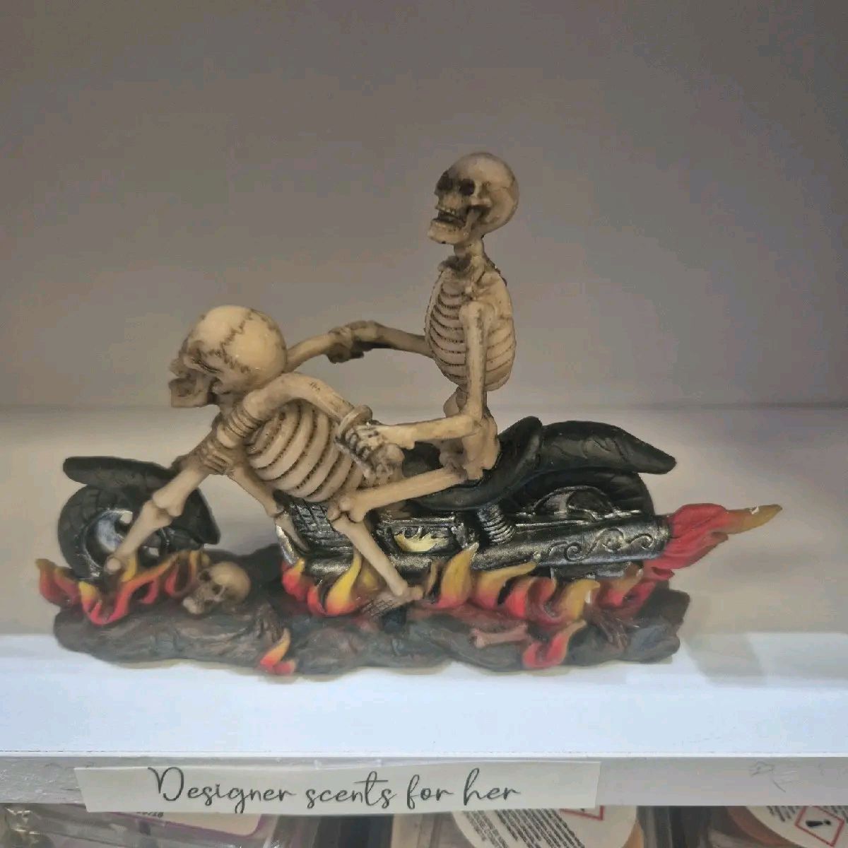 Skull Ornament on Motorbike