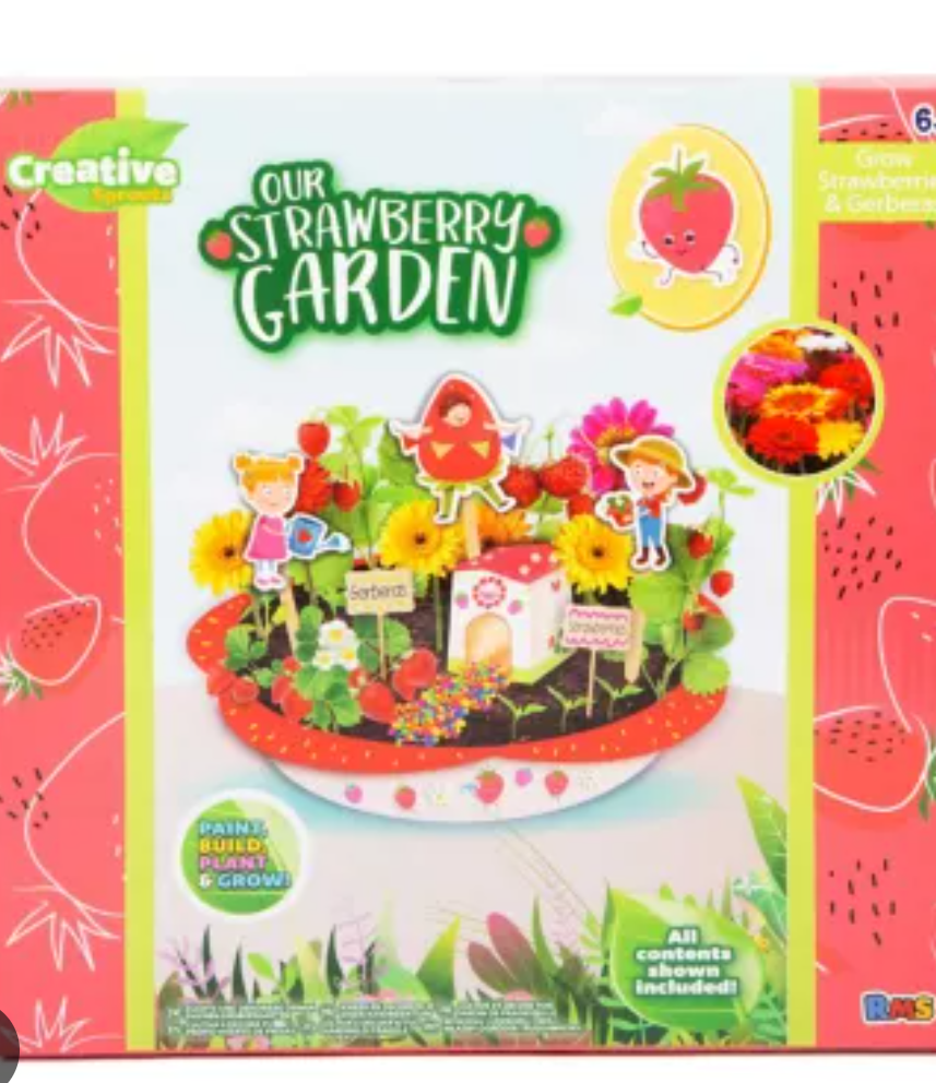 Creative Sprouts Grow & Decorate Strawberry Garden