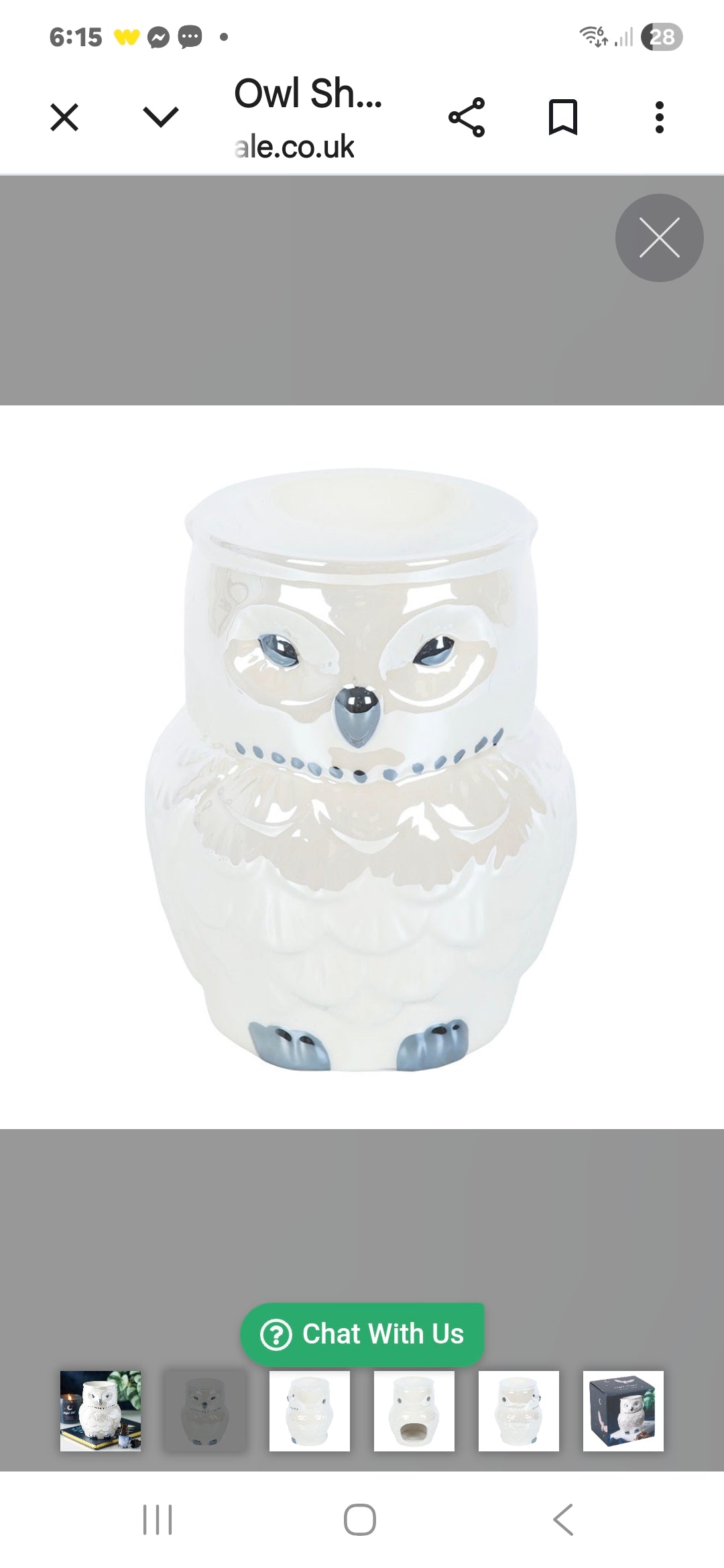 Owl Shaped Iridescent Oil Burner and Wax Warmer