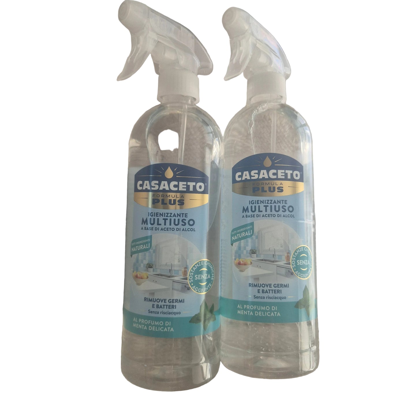 Casaceto alcohol white vinegar, a multi-purpose cleaner with mint 1 litre