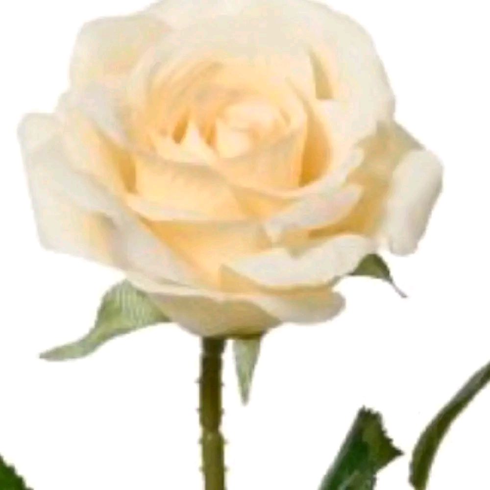 55cm Polyester Rose on Stem Artificial Flower
