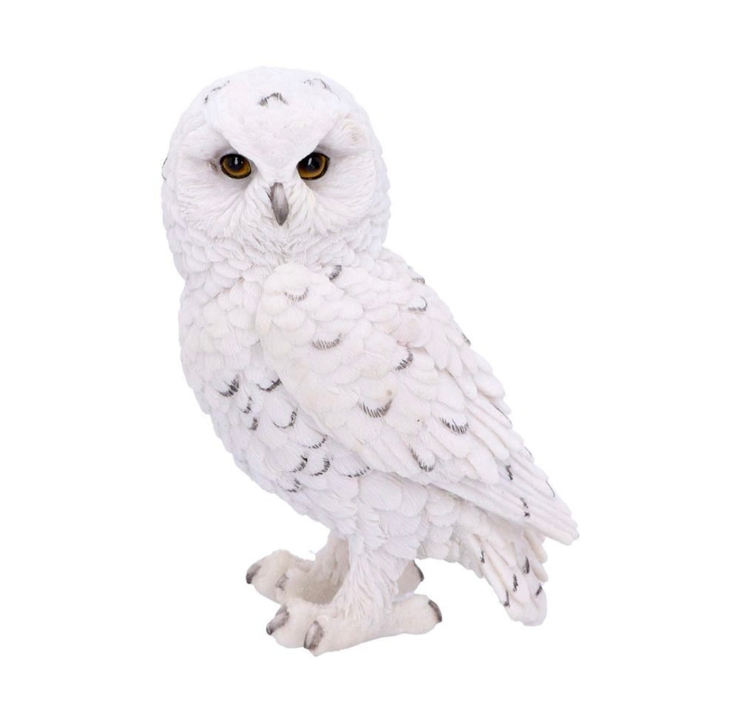Snowy Watch Small 13.3cm
Snowy Watch Small White Owl Ornament