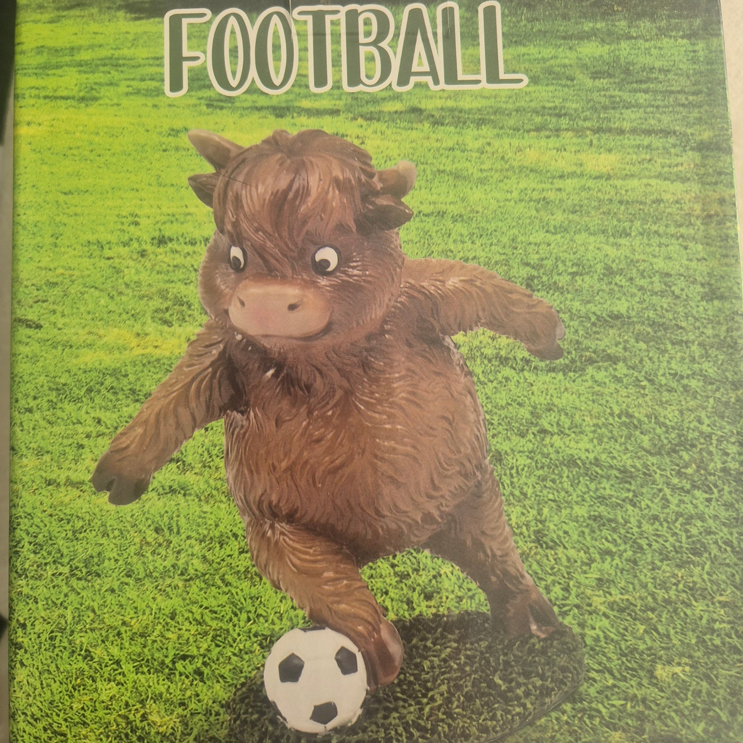 Football Highland cow