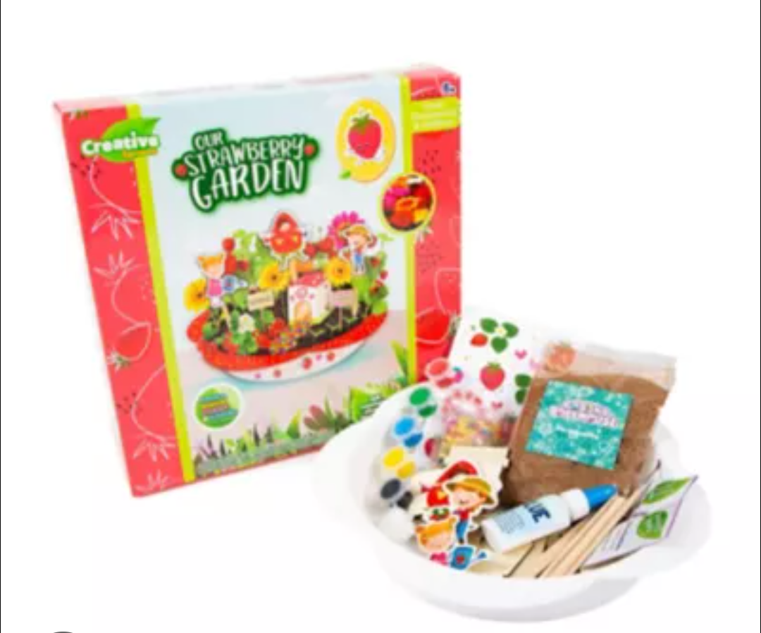 Creative Sprouts Grow & Decorate Strawberry Garden