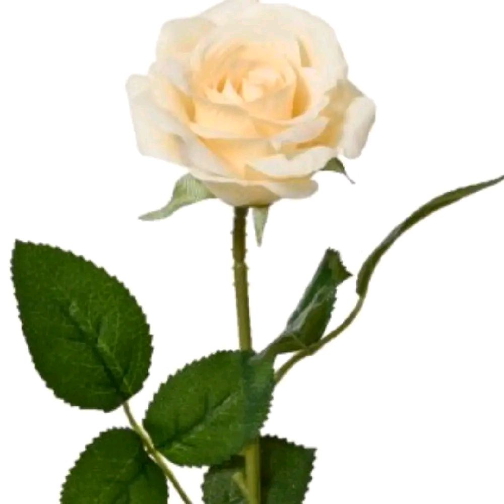 55cm Polyester Rose on Stem Artificial Flower