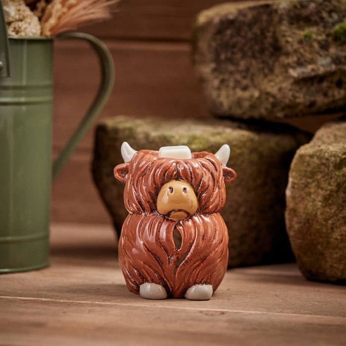 Douglas Highland Cow Wax Burner