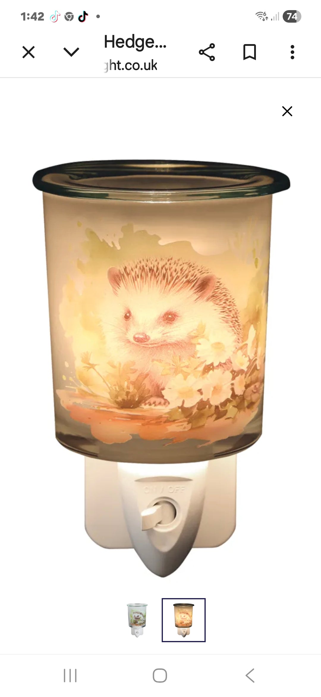 Hedgehog Plug-in wax Melter
