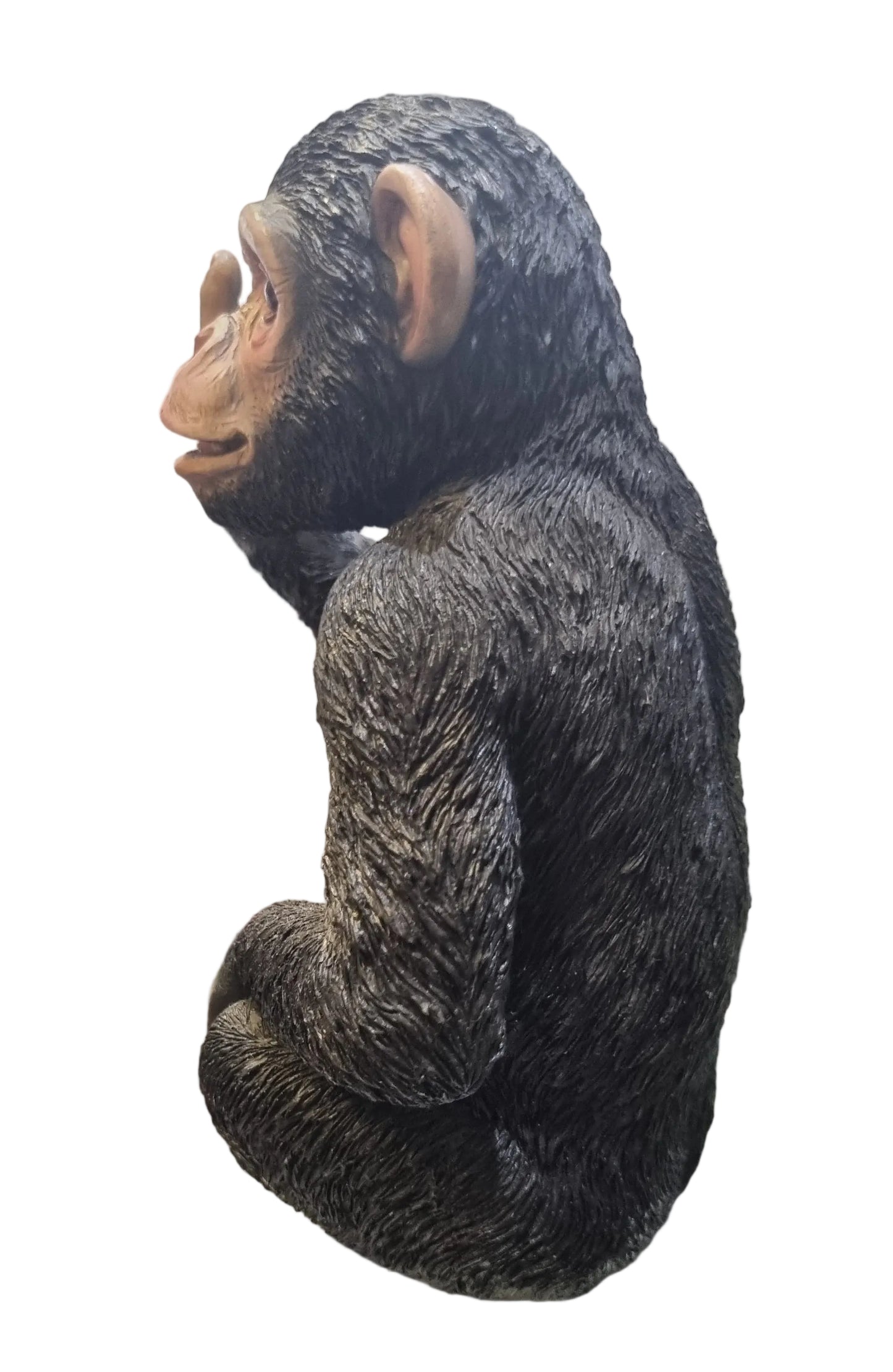 "Up Yours" Cheeky Monkey