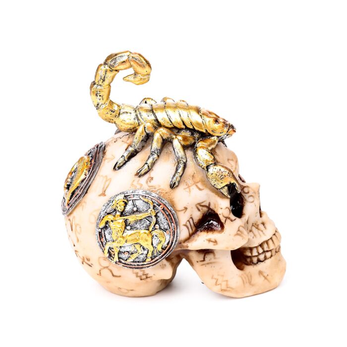 Scorpion Skull Statue