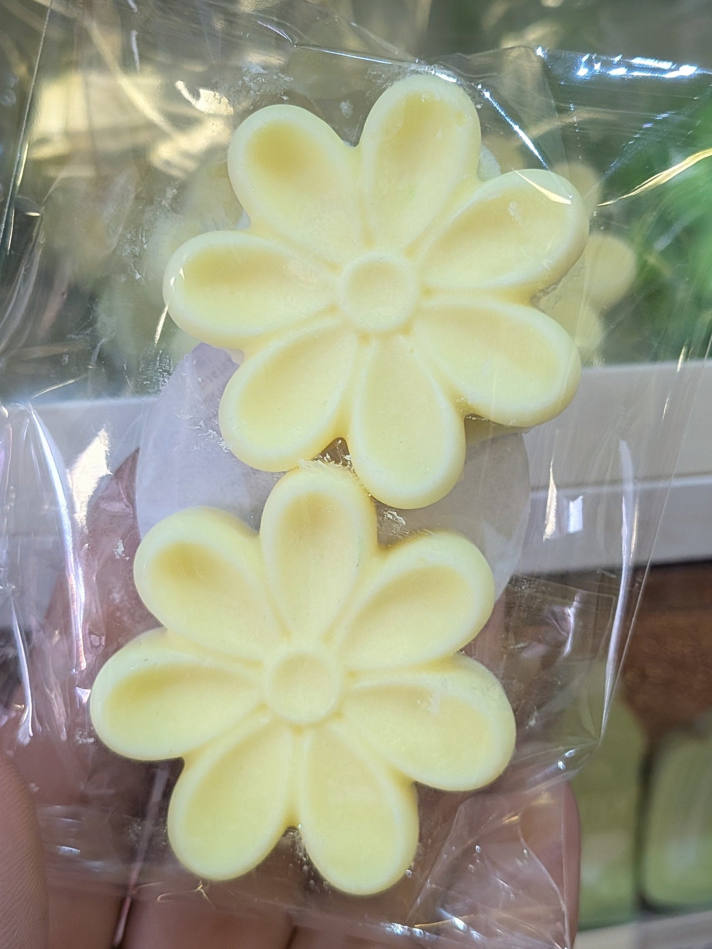 Greek inspired flower wax melts