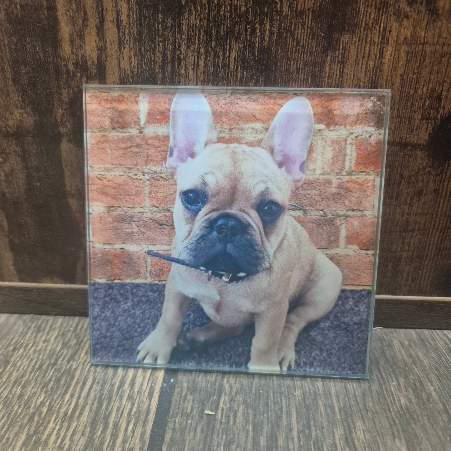 Square Glass Coasters various designs