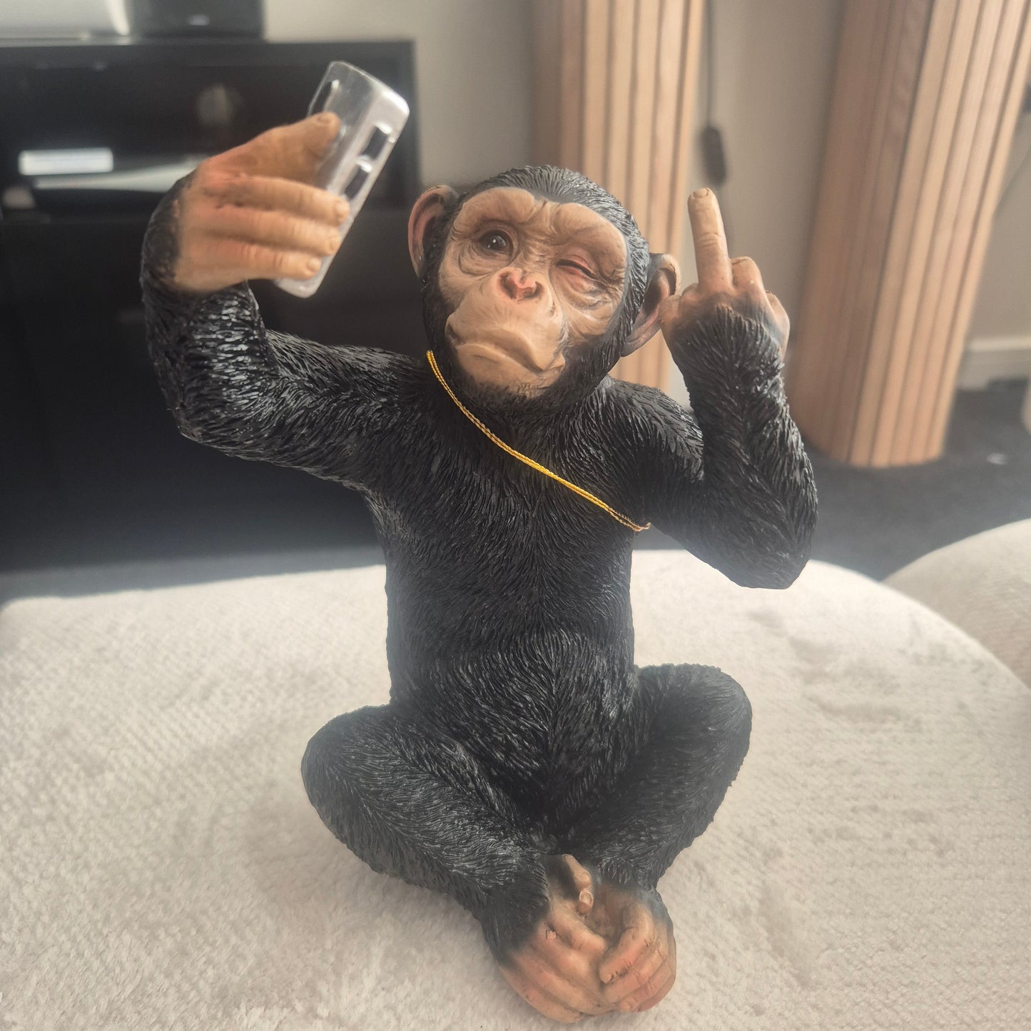 Selfie monkey with a finger up